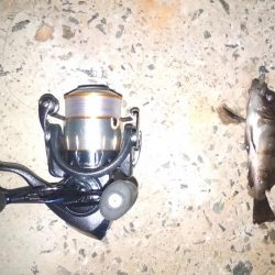 タケノコ狩り♪