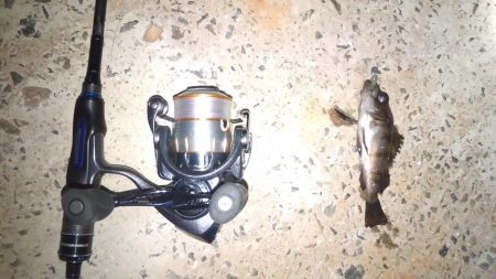 タケノコ狩り♪