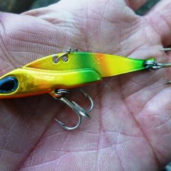 デイ・シーバス