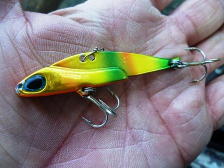 デイ・シーバス