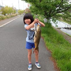 コメ式 パン鯉ゲーム