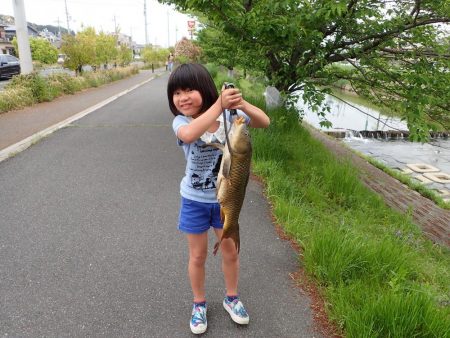 コメ式 パン鯉ゲーム