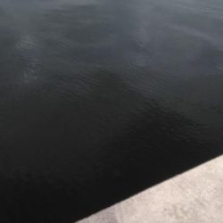 マイクロベイトのシーバス