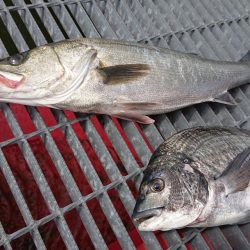 アタリはあるが喰いが浅い。