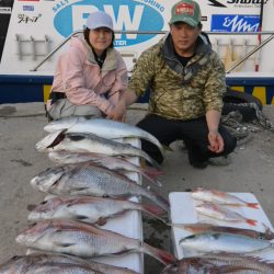 ジギング船 BLUEWATER 釣果