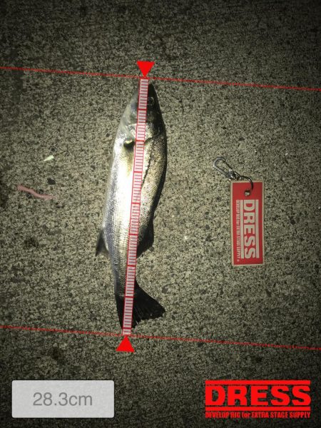 メバリング！！