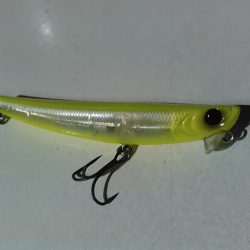 中ノ島シーバス調子いいです！