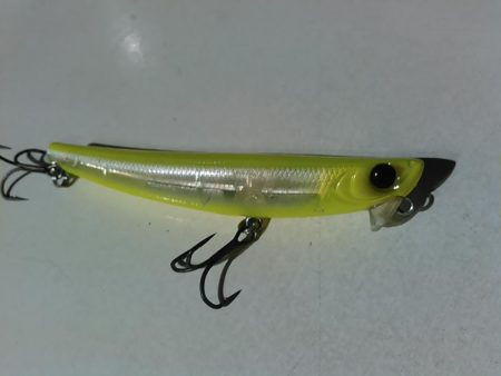 中ノ島シーバス調子いいです！