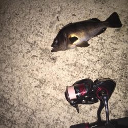 さー！連休だー！