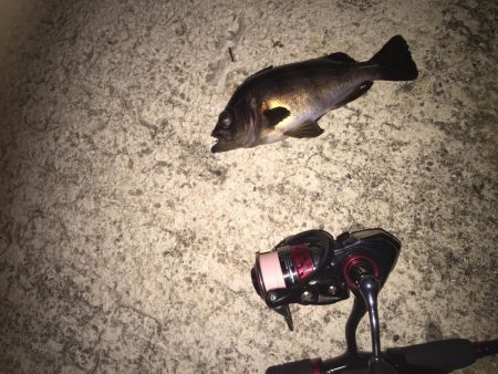 さー！連休だー！