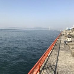 今年、初ゲット！