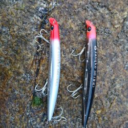 ブルームーン釣行