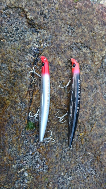 ブルームーン釣行