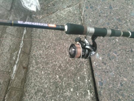 ふらっとふぃっしゅ