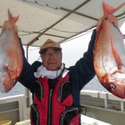 アコウとタイ釣り