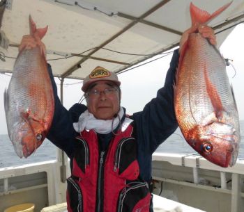 アコウとタイ釣り