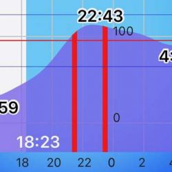 フロート何もこず