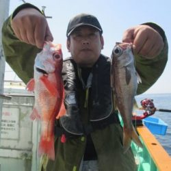 土佐安芸のハマちゃん　