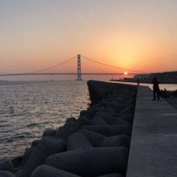 思ってたよりは釣れなかったけど・・・