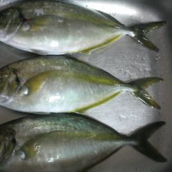 ハプニングが・・・