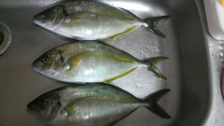 ハプニングが・・・