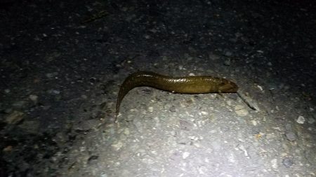 長いトンネルをついに脱出‼