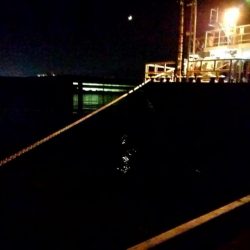 メバリング練習