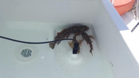 今年初出船釣行