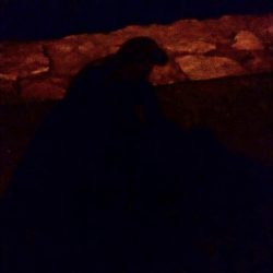 バチが抜けだした?