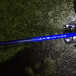 野池フローターからのアジング