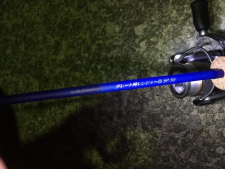 野池フローターからのアジング