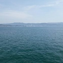 愛しのコウちゃん。