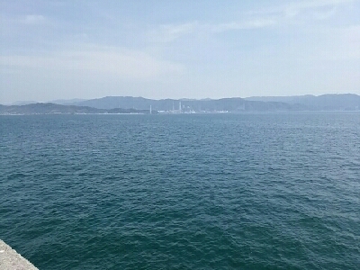 愛しのコウちゃん。