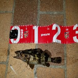 快適な釣りでした❗