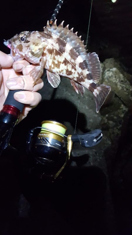 ガッシーまつり