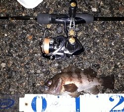 雨上がりの調査