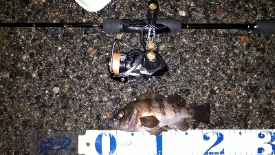 雨上がりの調査