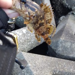 爆風のなか無理矢理風裏に行きメバリング