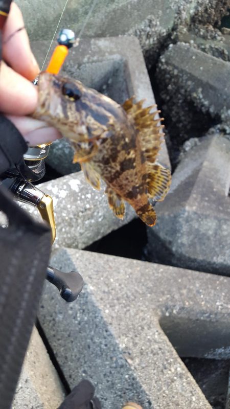 爆風のなか無理矢理風裏に行きメバリング