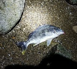 暴風から一転！