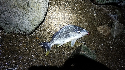 暴風から一転！