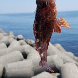 4ヵ月ぶりの坊主回避！！