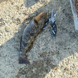 食品コンビナートにて