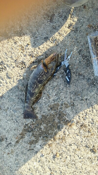 食品コンビナートにて