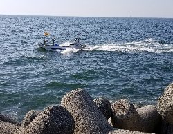 カレイが釣れない