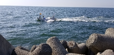 カレイが釣れない