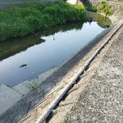 淡水小物釣り　～濁りが効いてイイ♪～