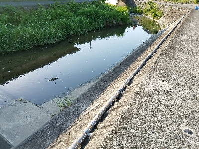 淡水小物釣り　～濁りが効いてイイ♪～