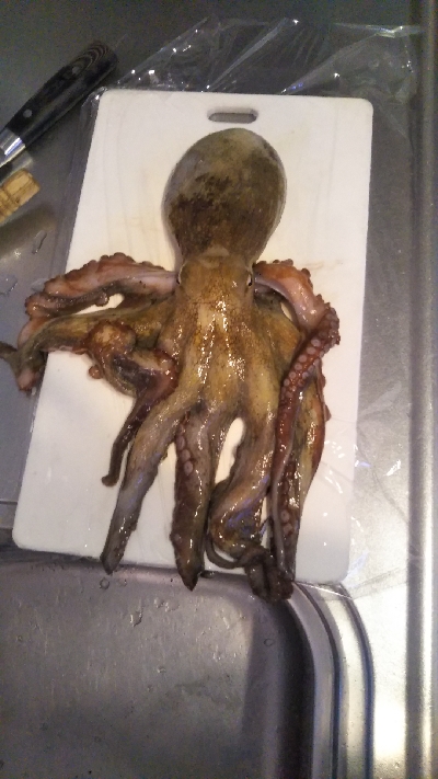 イカじゃなく、まさかの!