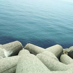 穴釣りでガシラ